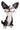 Little Paws Domino - Black & White Cat Figurine
