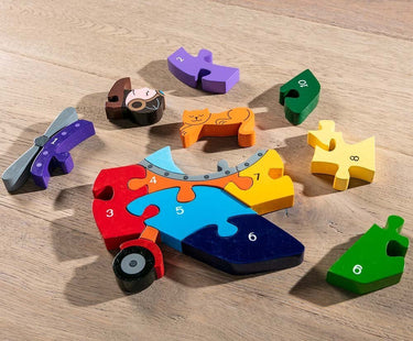 Number Plane Jigsaw Puzzle