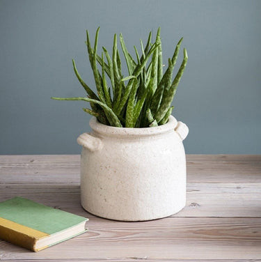 Ravello Pot with Handles in White Ceramic