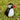 Small Glass Puffin