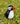 Small Glass Puffin