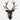 Stags Head Wall Hanging