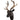 Stags Head Wall Hanging