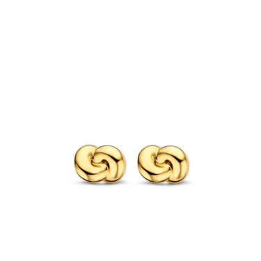 Ti Sento - Milano Earrings 7896SY