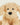 Warmies Microwaveable Plush - Cockerpoo
