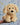 Warmies Microwaveable Plush - Cockerpoo