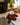 Warmies Microwaveable Plush - Highland Cow
